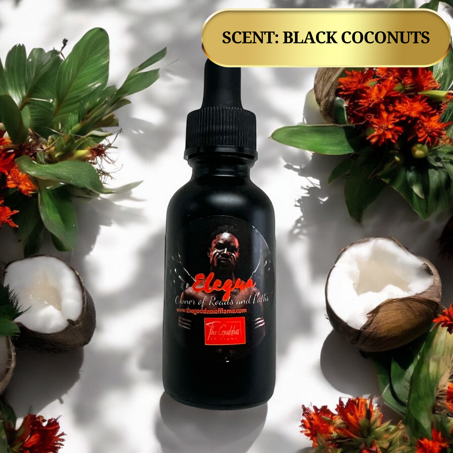 Elegua Conjure Oil Dropper - Opening Roads, Overcoming Blockages, Protection and Guidance