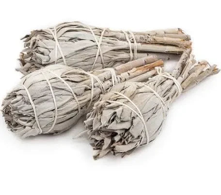 White Sage Torch Smudging Stick| Purifying