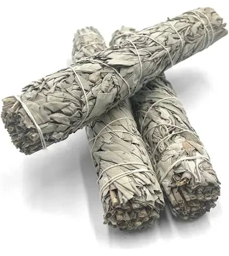 White Sage 9” Stick Smudge| Purifying