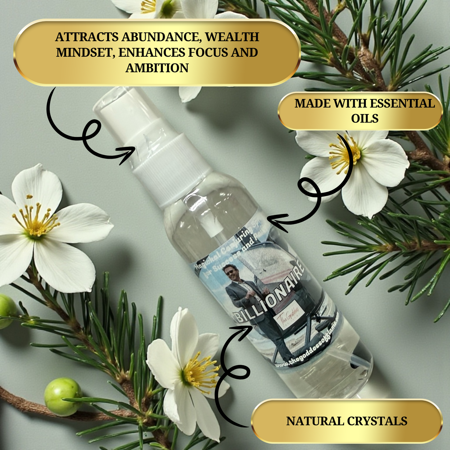 Billionaire Spray Lifestyle Photo