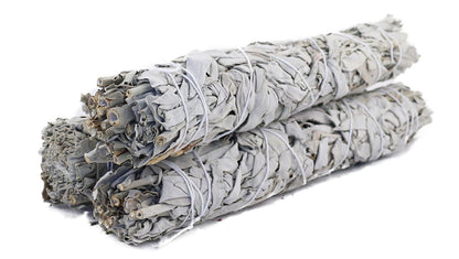 White Sage 9” Stick Smudge| Purifying